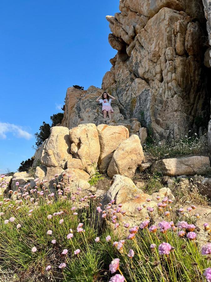L'Oleandro 1410 House In Sardinia With Mediterranean Sea Views อิโซลา โรสซา ภายนอก รูปภาพ